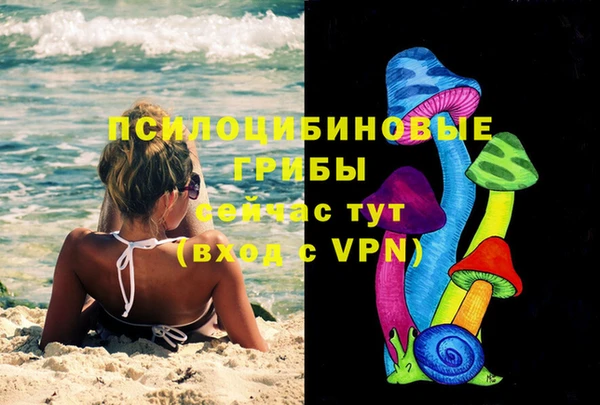 PSILOCYBIN Алексин