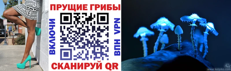 darknet какой сайт Протвино Галлюциногенные грибы Magic Shrooms закладка