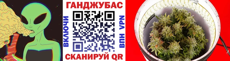 Бошки марихуана план  купить наркотик  Протвино 